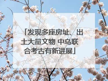 发现多座房址、出土大量文物 中乌联合考古有新进展