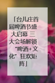 台儿庄首届啤酒节盛大启幕 三大会场解锁“啤酒+文化”狂欢矩阵