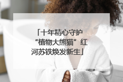 十年精心守护 “植物大熊猫”红河苏铁焕发新生