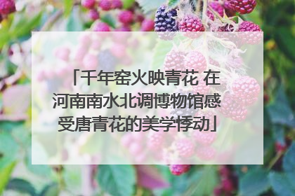 千年窑火映青花 在河南南水北调博物馆感受唐青花的美学悸动