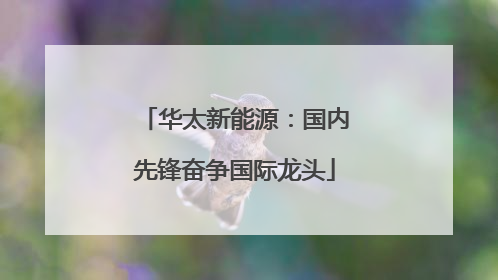 华太新能源：国内先锋奋争国际龙头