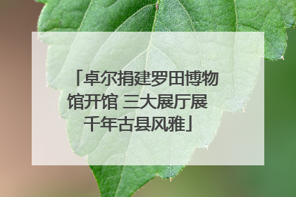 卓尔捐建罗田博物馆开馆 三大展厅展千年古县风雅