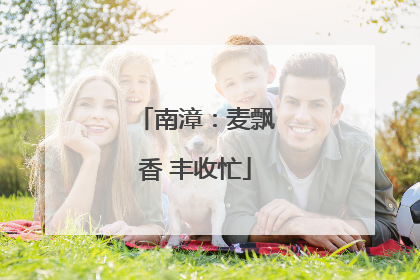 南漳：麦飘香 丰收忙