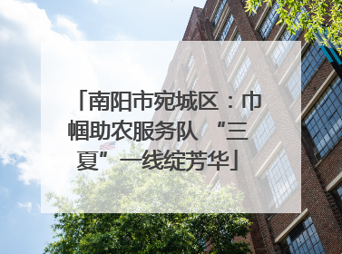 南阳市宛城区：巾帼助农服务队 “三夏”一线绽芳华