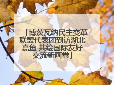 博茨瓦纳民主变革联盟代表团到访湖北嘉鱼 共绘国际友好交流新画卷