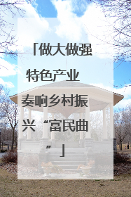做大做强特色产业 奏响乡村振兴“富民曲”
