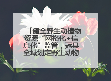 健全野生动植物资源“网格化+信息化”监管，冠县全域划定野生动物禁猎区