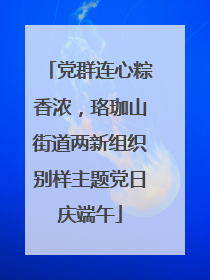 党群连心粽香浓，珞珈山街道两新组织别样主题党日庆端午