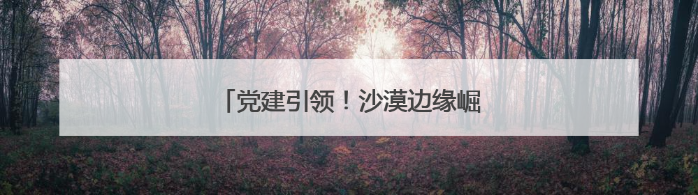 党建引领！沙漠边缘崛起超百个亿元产值连队