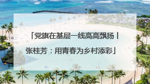 党旗在基层一线高高飘扬丨张桂芳：用青春为乡村添彩