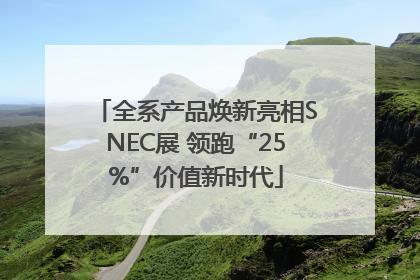 全系产品焕新亮相SNEC展 领跑“25%”价值新时代