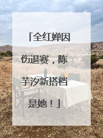 全红婵因伤退赛，陈芋汐新搭档是她！