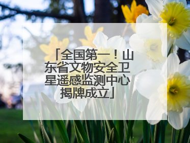 全国第一！山东省文物安全卫星遥感监测中心揭牌成立
