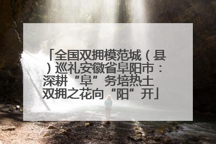 全国双拥模范城（县）巡礼安徽省阜阳市：深耕“阜”务培热土 双拥之花向“阳”开