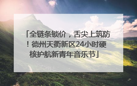 全链条锁价，舌尖上筑防！德州天衢新区24小时硬核护航新青年音乐节