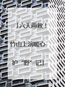 六天两救！竹山上演暖心护“野”记
