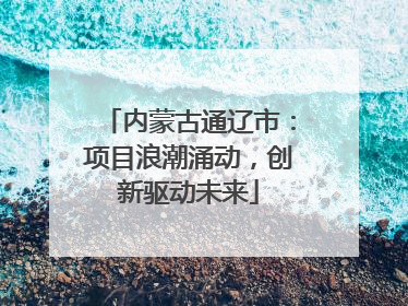 内蒙古通辽市：项目浪潮涌动，创新驱动未来