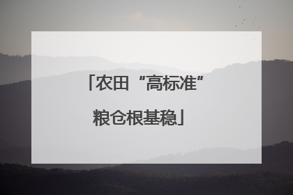 农田“高标准” 粮仓根基稳