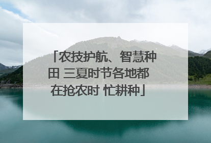 农技护航、智慧种田 三夏时节各地都在抢农时 忙耕种