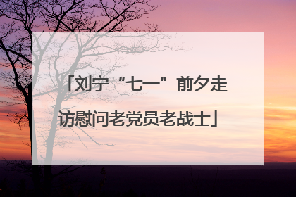 刘宁“七一”前夕走访慰问老党员老战士