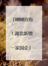 刚刚宣布！湖北新增一家国企