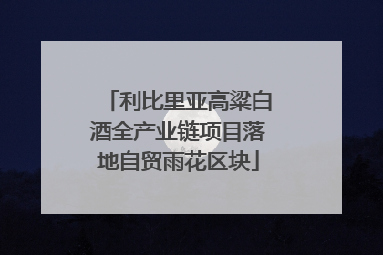 利比里亚高粱白酒全产业链项目落地自贸雨花区块