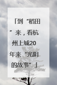 到“稻田”来，看杭州上城20年来“光阴的故事”
