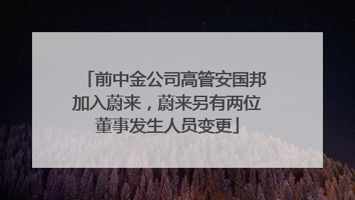 前中金公司高管安国邦加入蔚来，蔚来另有两位董事发生人员变更