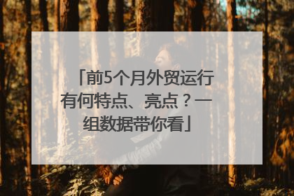 前5个月外贸运行有何特点、亮点？一组数据带你看