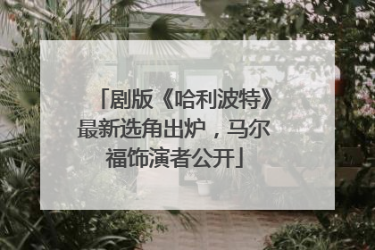 剧版《哈利波特》最新选角出炉，马尔福饰演者公开
