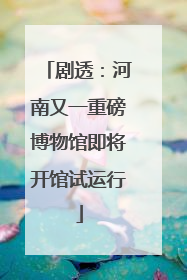 剧透：河南又一重磅博物馆即将开馆试运行