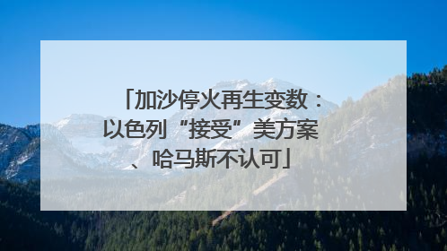 加沙停火再生变数：以色列“接受”美方案、哈马斯不认可