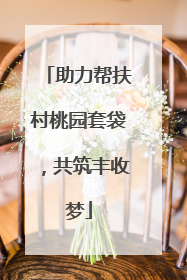 助力帮扶村桃园套袋，共筑丰收梦