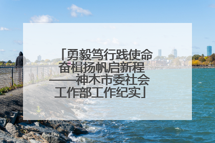 勇毅笃行践使命 奋楫扬帆启新程——神木市委社会工作部工作纪实