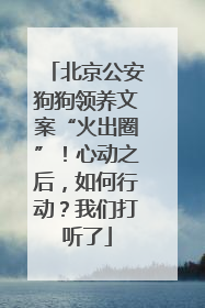 北京公安狗狗领养文案“火出圈”！心动之后，如何行动？我们打听了
