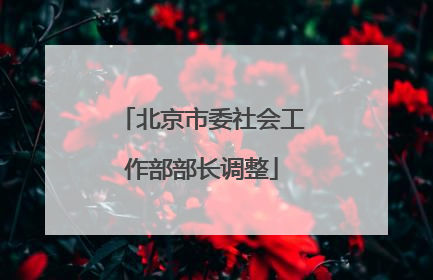 北京市委社会工作部部长调整