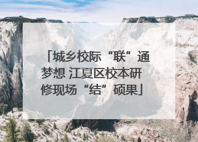 城乡校际“联”通梦想 江夏区校本研修现场“结”硕果