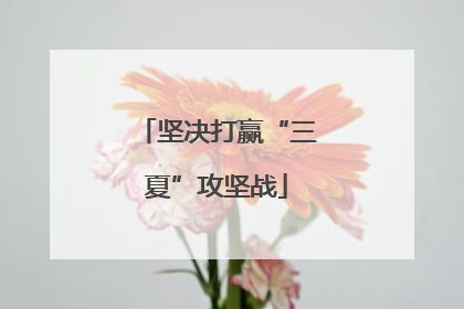 坚决打赢“三夏”攻坚战