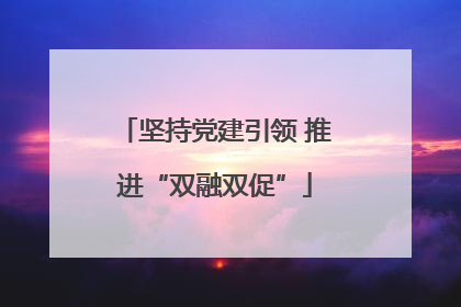坚持党建引领 推进“双融双促”