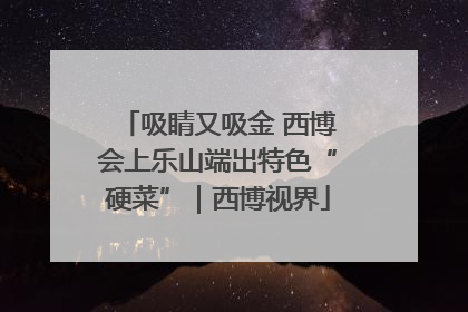 吸睛又吸金 西博会上乐山端出特色“硬菜”｜西博视界