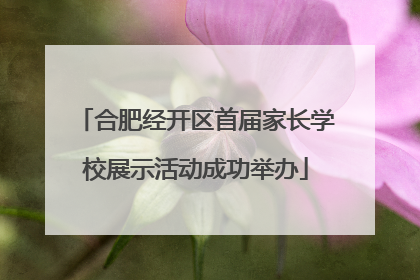 合肥经开区首届家长学校展示活动成功举办