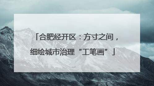 合肥经开区：方寸之间，细绘城市治理“工笔画”