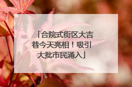 合院式街区大吉巷今天亮相！吸引大批市民涌入