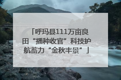 呼玛县111万亩良田“播种收官”科技护航蓄力“金秋丰景”