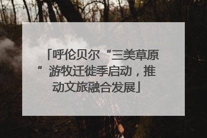 呼伦贝尔“三美草原”游牧迁徙季启动，推动文旅融合发展