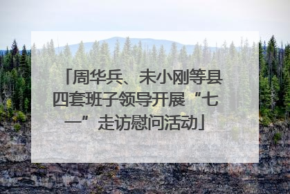 周华兵、未小刚等县四套班子领导开展“七一”走访慰问活动