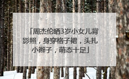 周杰伦晒3岁小女儿背影照，身穿格子裙，头扎小辫子，萌态十足
