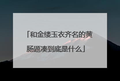 和金缕玉衣齐名的黄肠题凑到底是什么