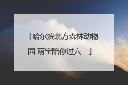 哈尔滨北方森林动物园 萌宝陪你过六一