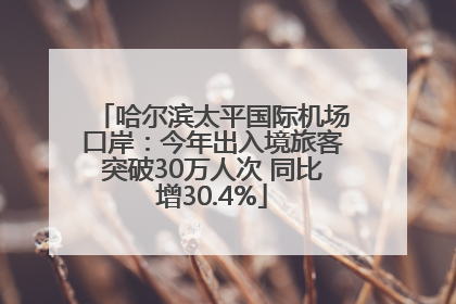 哈尔滨太平国际机场口岸：今年出入境旅客突破30万人次 同比增30.4%